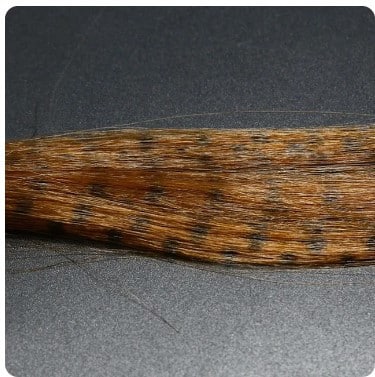 Zebra Grizzly Fly Tying Minnow Brown