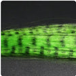 Zebra Grizzly Fly Tying Minnow Green