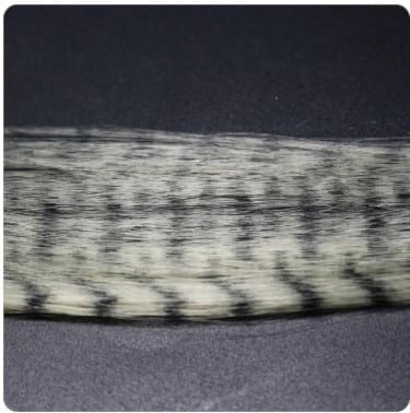 Zebra Grizzly Fly Tying Minnow White