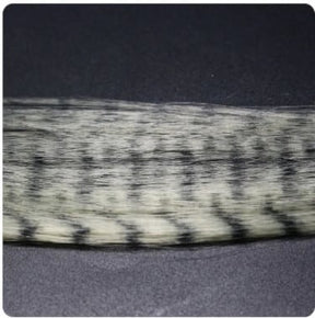 Zebra Grizzly Fly Tying Minnow White