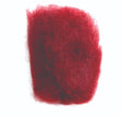 angora_goat_claret_04_1.jpg