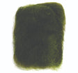 angora_goat_olive_06_1.jpg