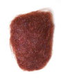 arctic_wind-brown.jpg