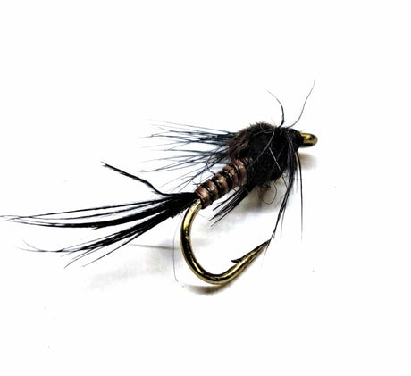 black_quill_nymph_n1429_1.jpg