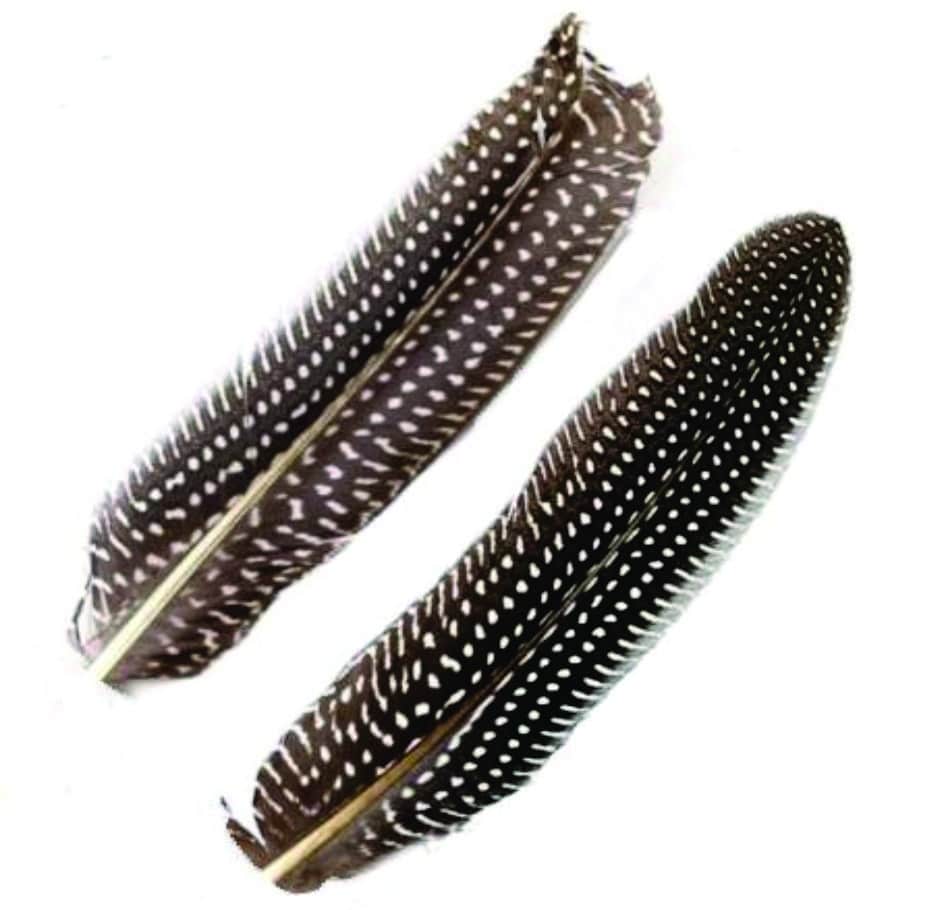 black_white_dot_quill_b.jpg