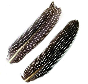 black_white_dot_quill_b.jpg