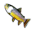 bo_brown_trout.jpg