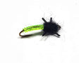 caddis_green.jpg