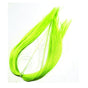 chartreuse_ff21.jpg