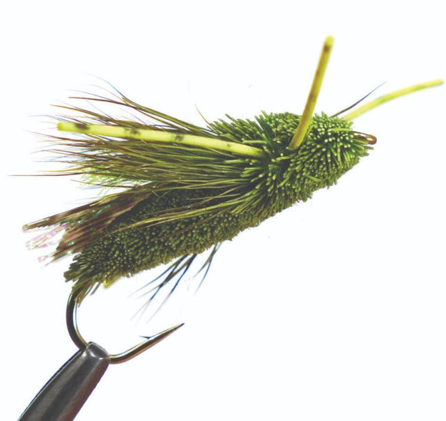 cicada_olive_rubber_legs.jpg