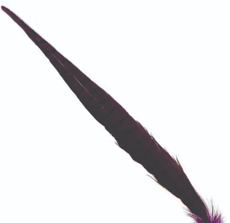 cock_pheasant_tail_claret.jpg