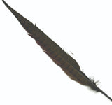 cock_pheasant_tail_olive_1.jpg