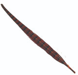 cock_pheasant_tail_orange.jpg