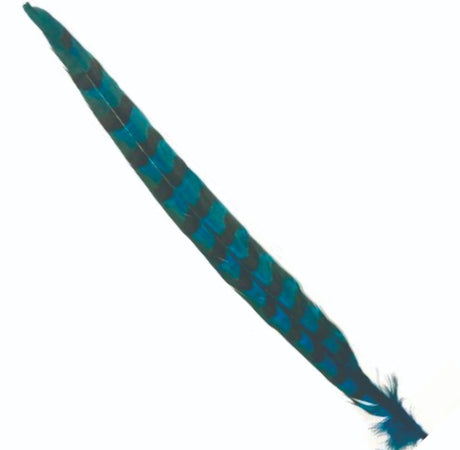 cock_pheasant_tail_teal_blue.jpg