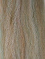 congo_baitfish-esox_lucis.jpg