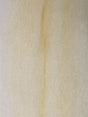 congo_baitfish-minnow_belly.jpg