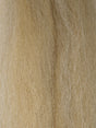 congo_baitfish-sand_crab.jpg