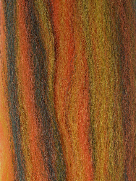 congo_baitfish-sunfish.jpg