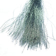 crystal_flash_holographic_silver_qx6.jpg