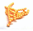 dead_egg_4mm.jpg