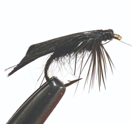 df001_-_black_2.jpg
