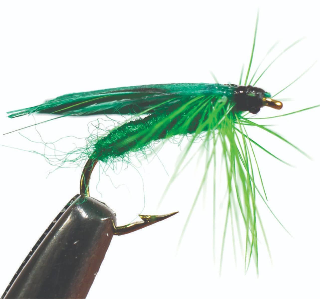 df001_-_green_1.jpg