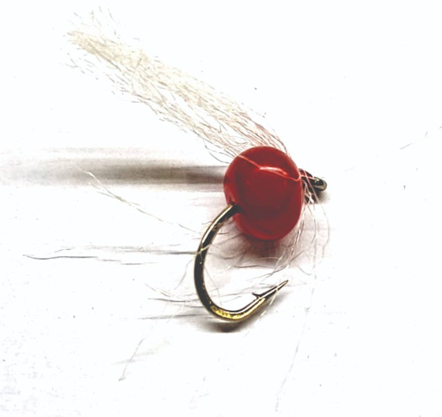eg120.jpg