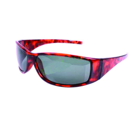 ew-sg-ilff-tort-brow.jpg