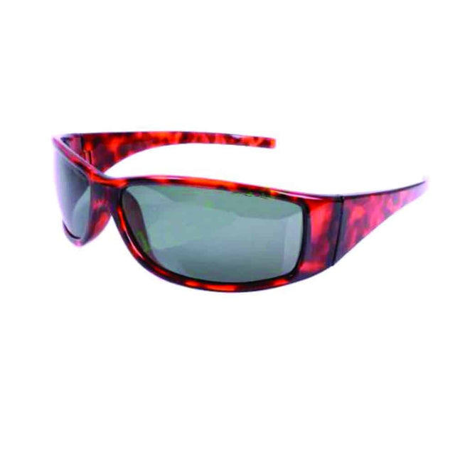 ew-sg-ilff-tort-brow.jpg