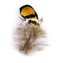 feather_-_brown_quill.jpg