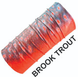 fs_brook_trout_name.jpg
