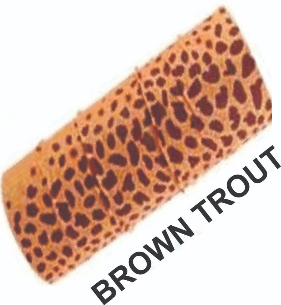fs_brown_trout_name.jpg