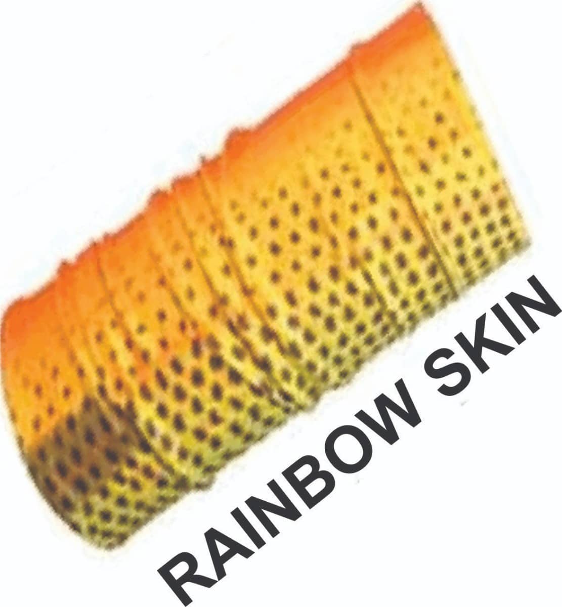 fs_rainbow_skin_name.jpg