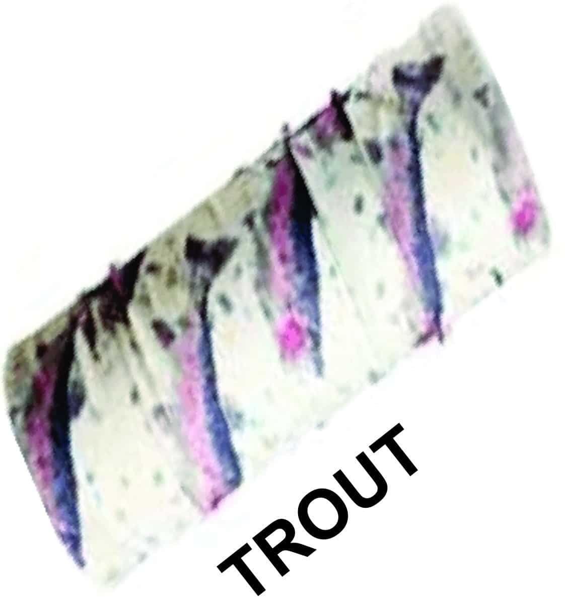 fs_trout_name.jpg