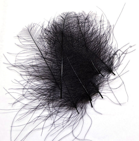 ft-fea-veni-cdc-black.jpg
