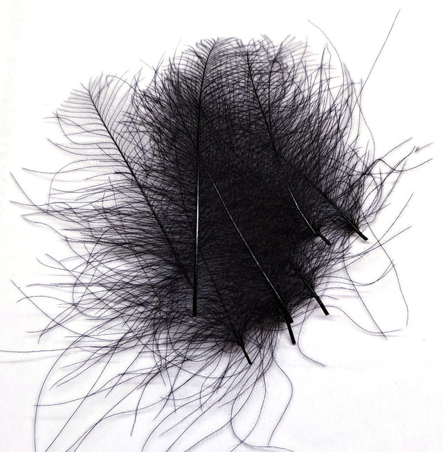 ft-fea-veni-cdc-black.jpg
