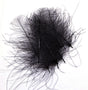 ft-fea-veni-cdc-black.jpg