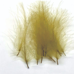 ft-fea-veni-cdc-paoli.jpg