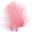 ft-fea-veni-cdc-pinkk.jpg