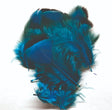 ft-fea-veni-frpar-bluee.jpg