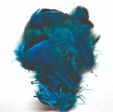 ft-fea-veni-frpar-bluee.jpg