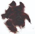ft-fea-veni-frpar-brown.jpg