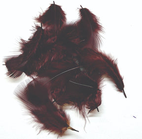 ft-fea-veni-frpar-brown.jpg