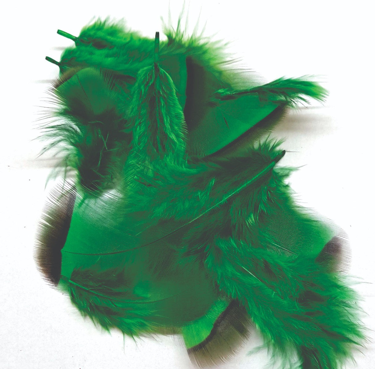 ft-fea-veni-frpar-green.jpg