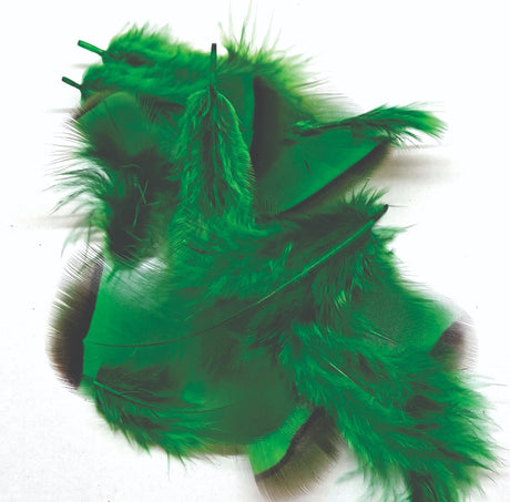 ft-fea-veni-frpar-green.jpg