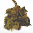ft-fea-veni-frpar-olive.jpg