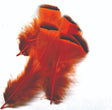 ft-fea-veni-frpar-orang.jpg