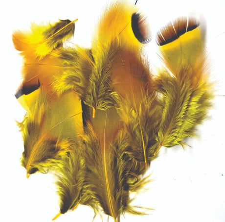 ft-fea-veni-frpar-yello.jpg