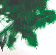 ft-fea-veni-guifo-green.jpg