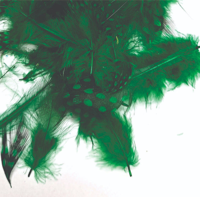 ft-fea-veni-guifo-green.jpg